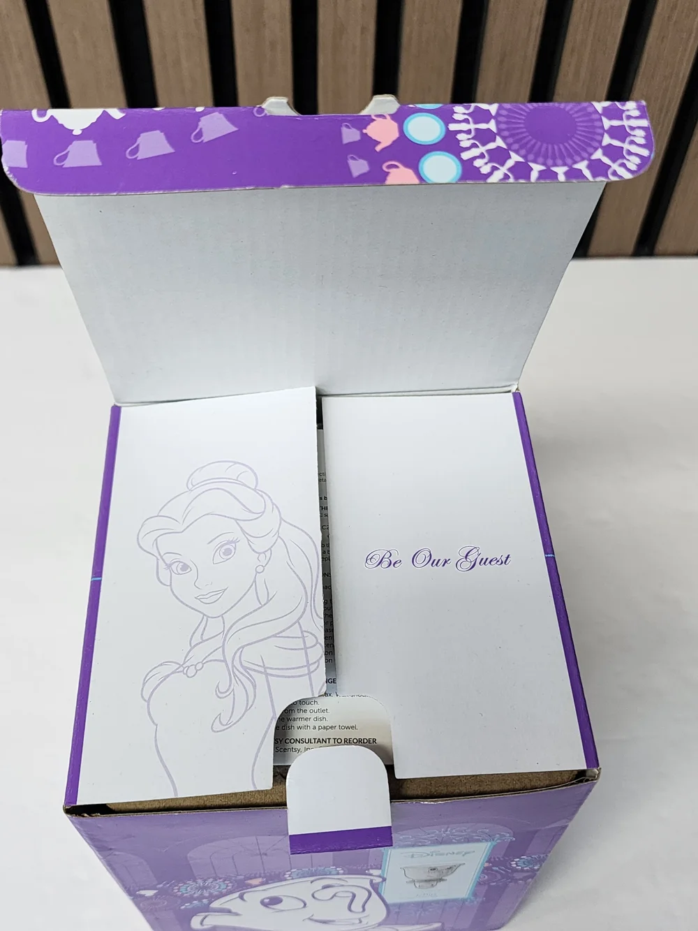 Scentsy new brand plug